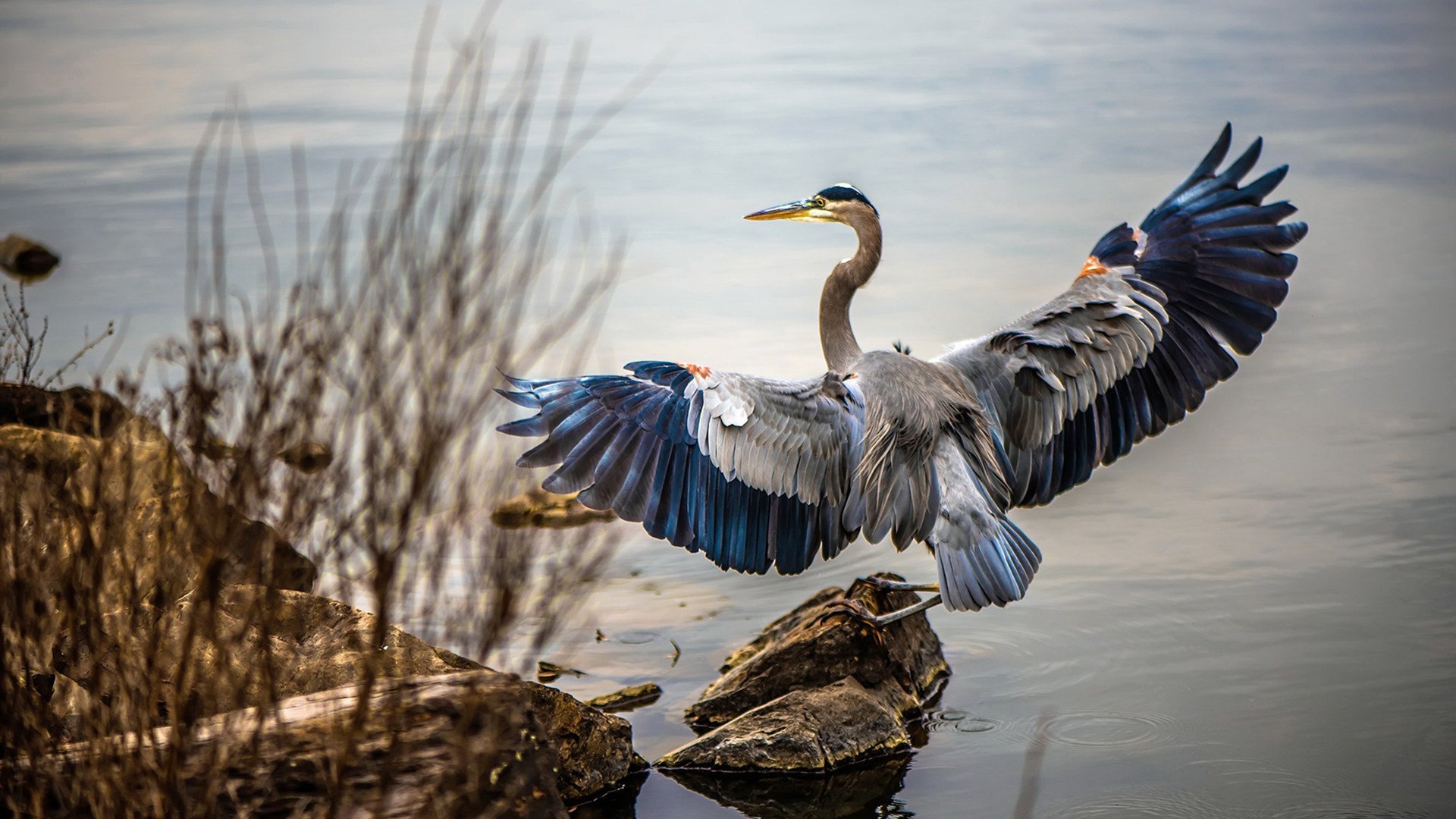 克莱三分雨淹没辽宁铁闸！开拓者火焰战术彻底打爆传统防线