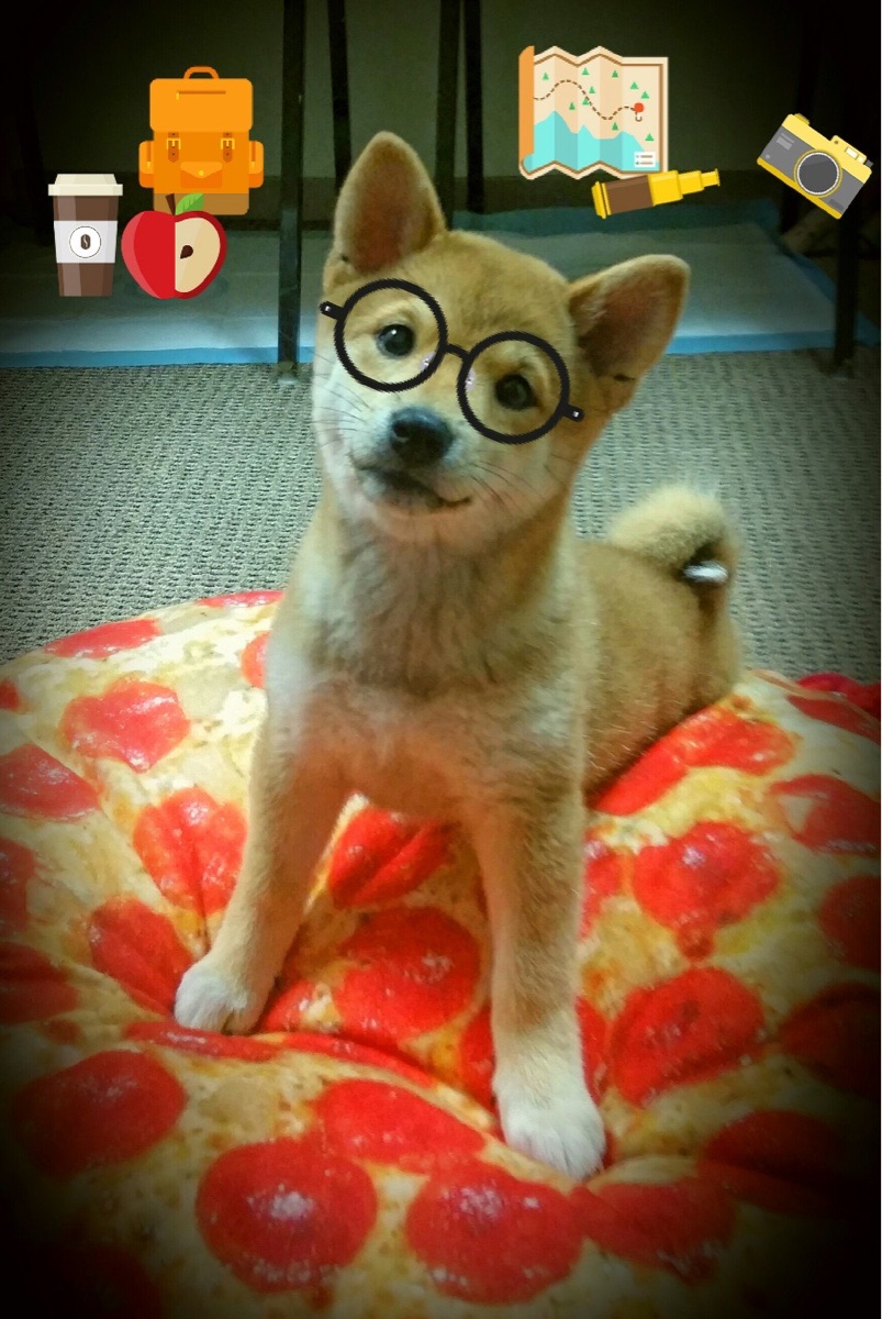 约基奇魔术般统治比赛！掘金火力全开压制快船，关键先生再证MVP价值