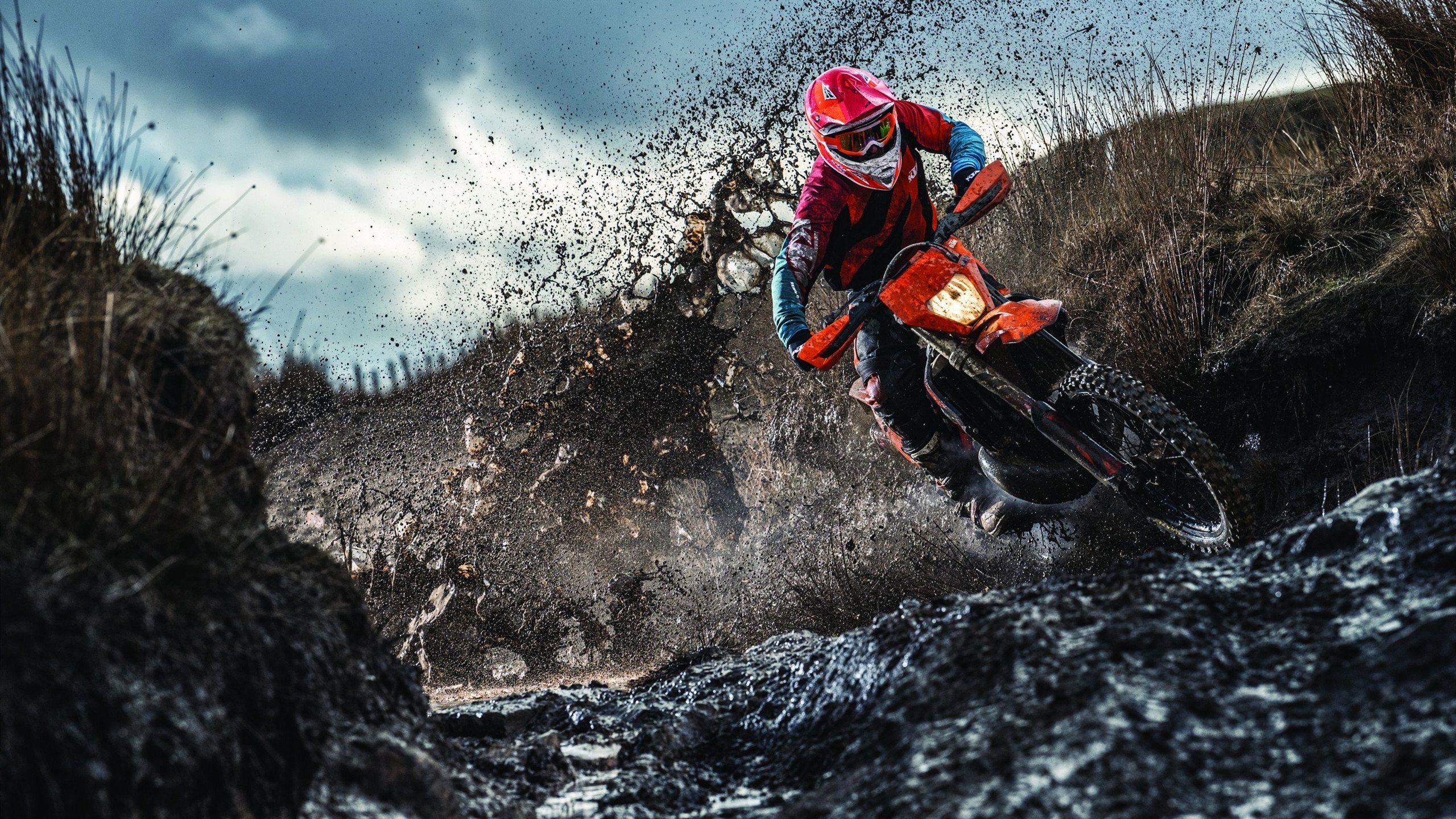 塔图姆的节奏革命，当年轻领袖撕掉数据刷子标签