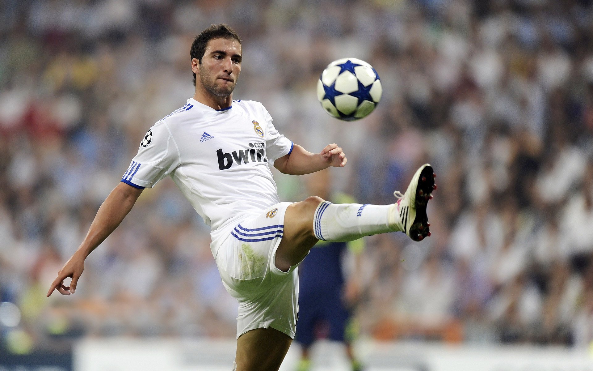 独行侠绞杀纽约童话，当暴发户用最复古的方式埋葬贵族